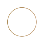 New Moon phase icon for 2026 Signature Wall Calendar lunar energy tracking